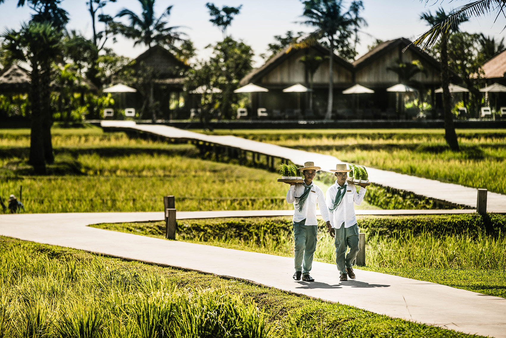 1744682428869186.jpg Phum-Baitang (1).jpg