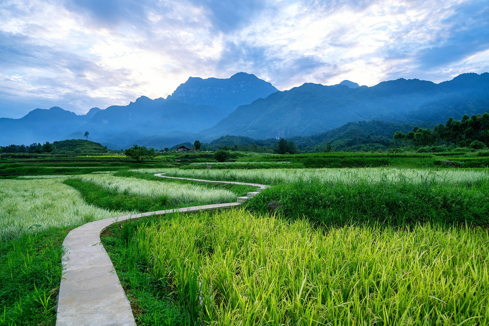 1744684645141489.jpg 020-Gaoqiao-Town-Emei-China-by-sichuan-LEDA-Landscape-Design-Co-Ltd.jpg
